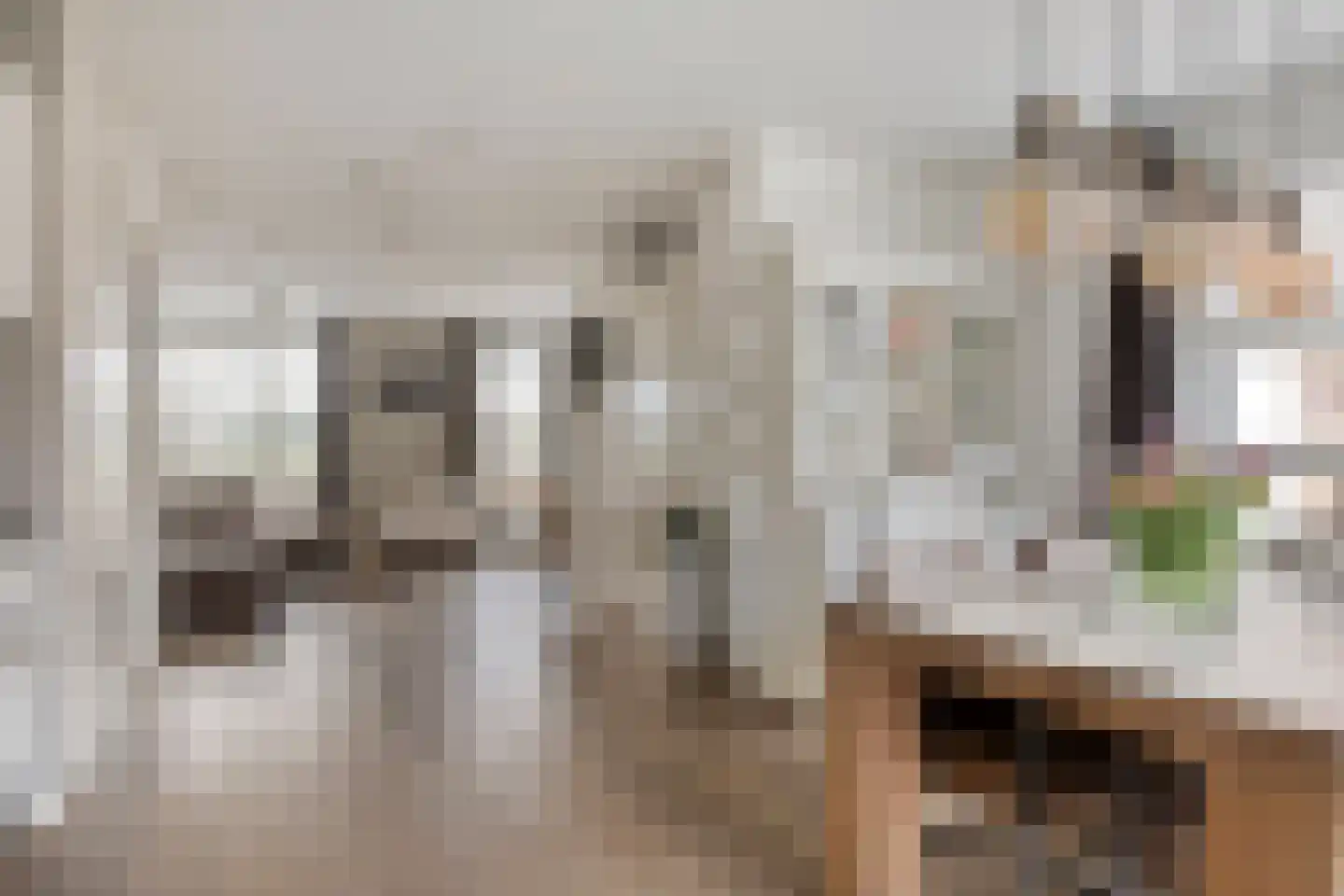 Kastanjelaan 11 Alphen thumbnail 15