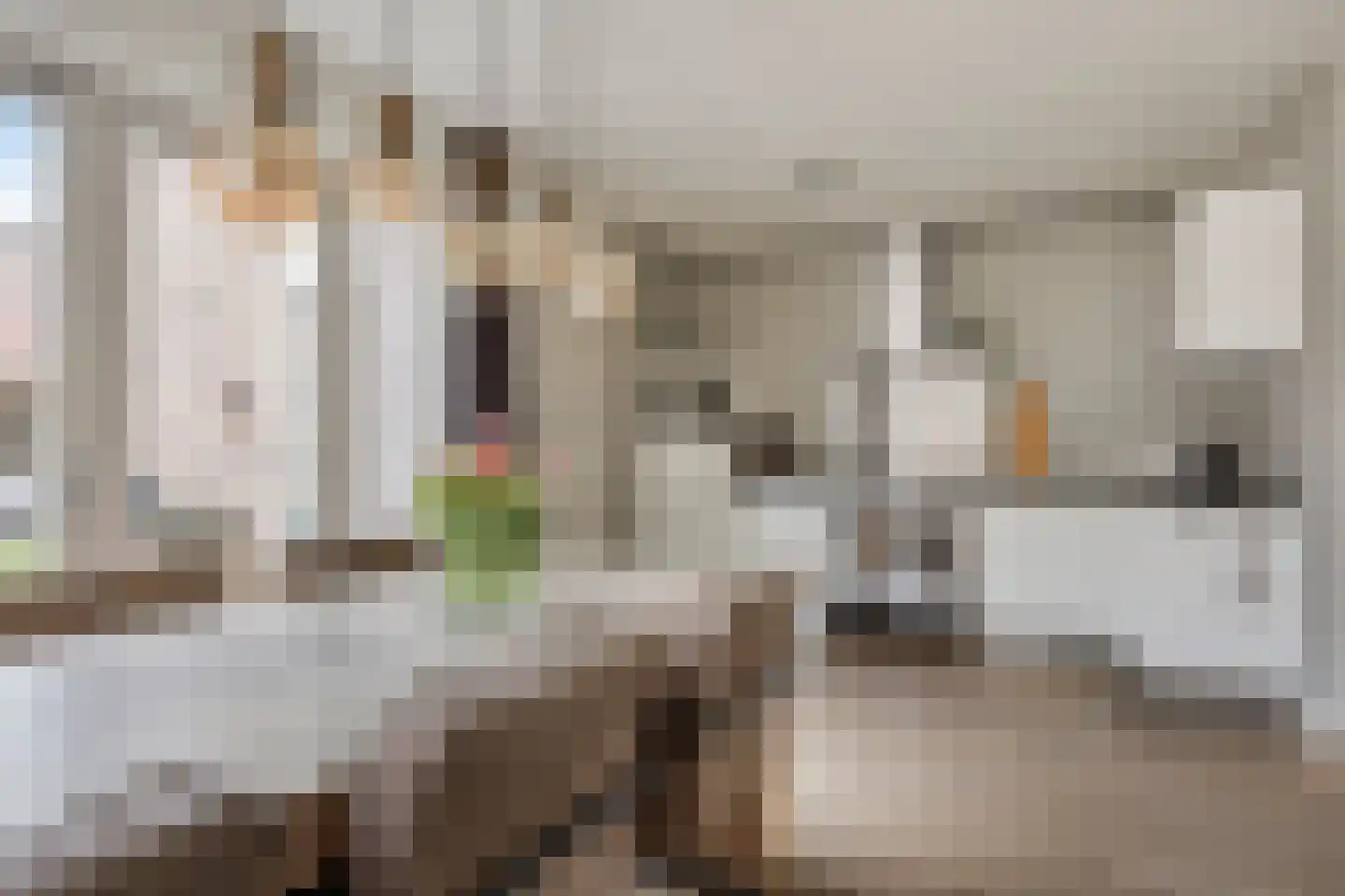 Kastanjelaan 11 Alphen thumbnail 17