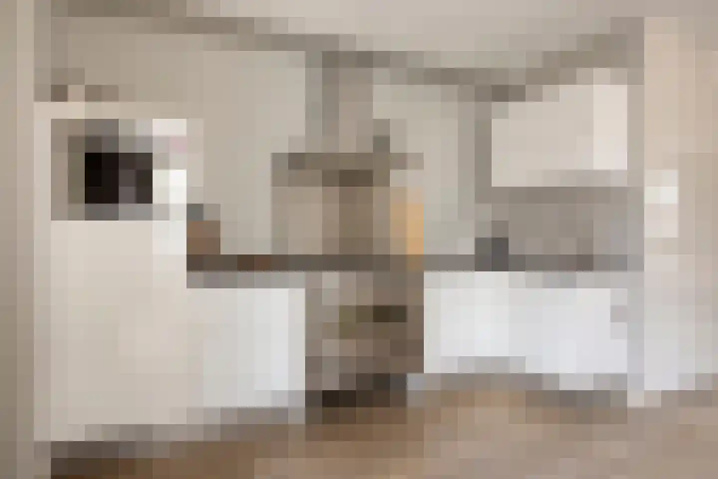 Kastanjelaan 11 Alphen thumbnail 18