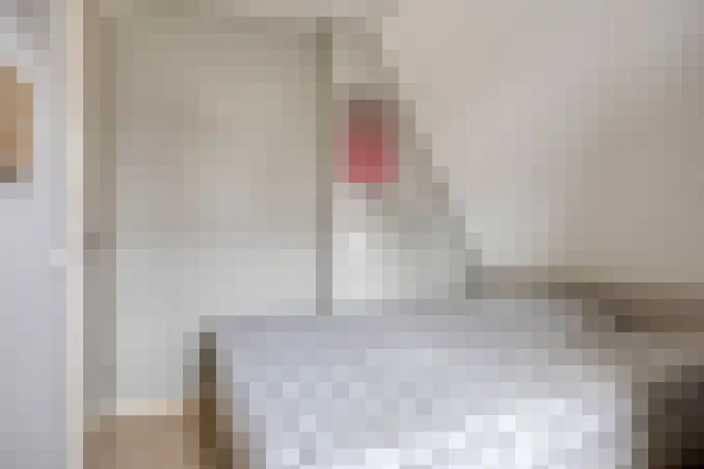 Kastanjelaan 11 Alphen thumbnail 29