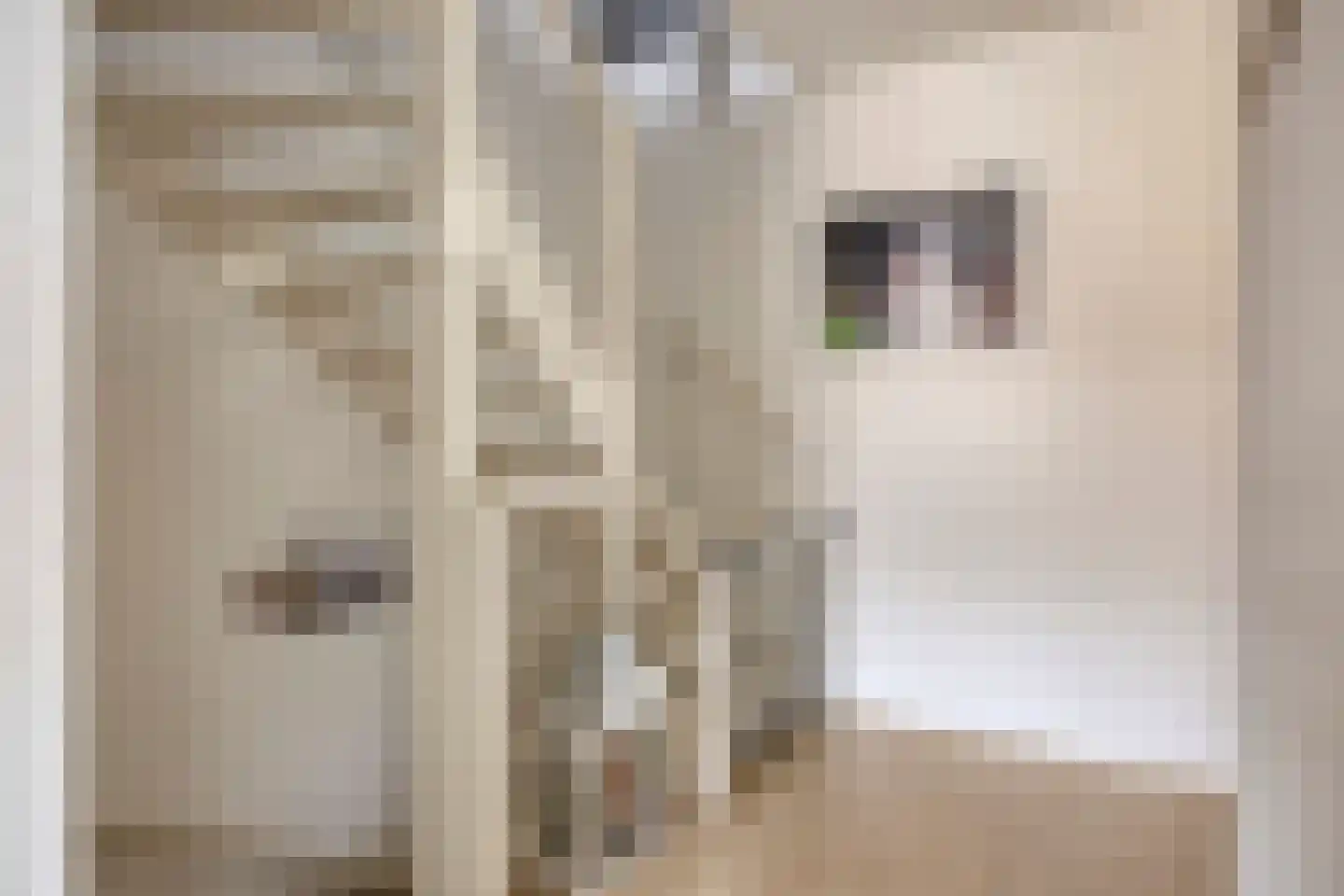 Kastanjelaan 11 Alphen thumbnail 38