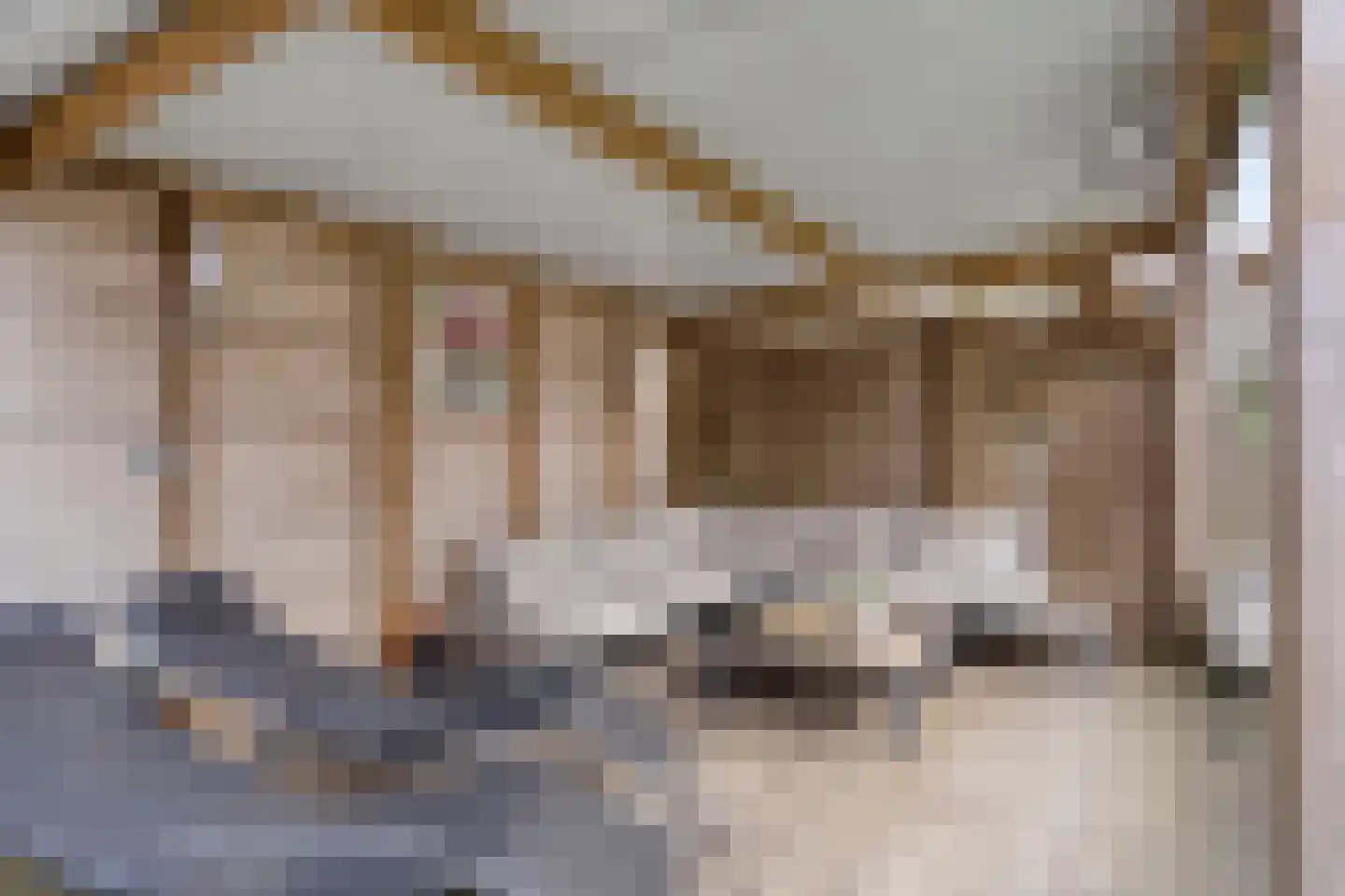 Kastanjelaan 11 Alphen thumbnail 48