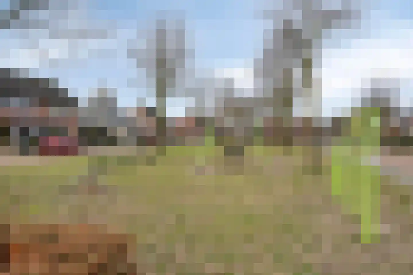 Kastanjelaan 11 Alphen thumbnail 50