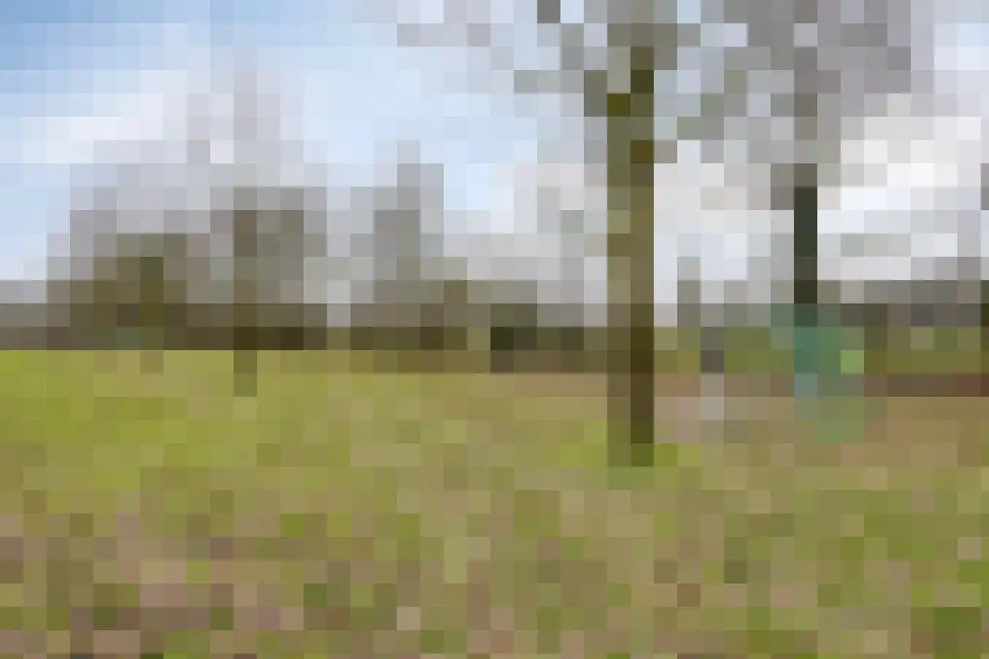 Kastanjelaan 11 Alphen thumbnail 51