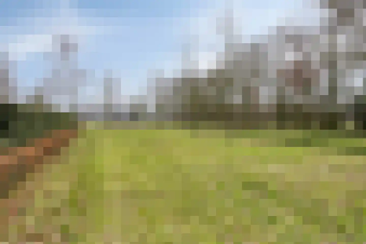 Kastanjelaan 11 Alphen thumbnail 52
