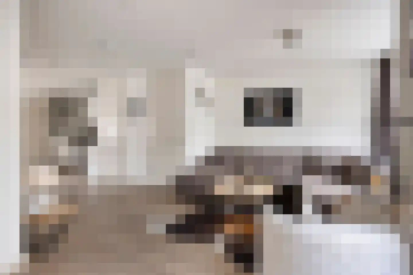 Kastanjelaan 11 Alphen thumbnail 9