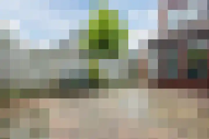 Kastanjelaan 11 Hellevoetsluis thumbnail 21