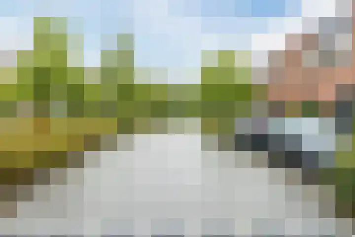 Kastanjelaan 11 Hellevoetsluis thumbnail 25