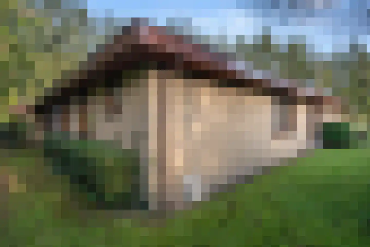 Kastanjelaan 11 Lunteren thumbnail 33