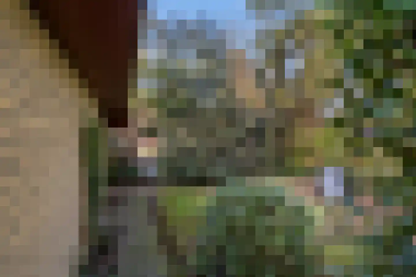 Kastanjelaan 11 Lunteren thumbnail 35