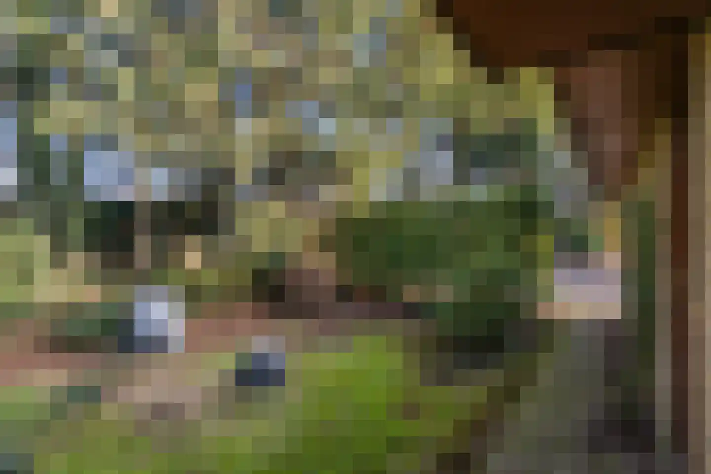 Kastanjelaan 11 Lunteren thumbnail 36