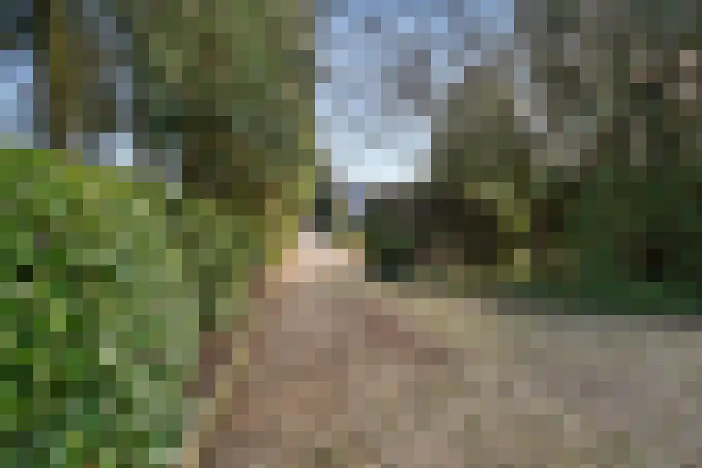 Kastanjelaan 11 Lunteren thumbnail 37