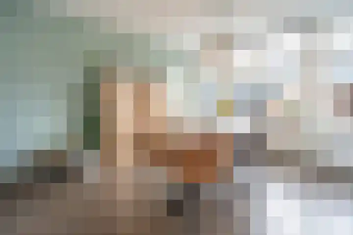 Kastanjelaan 11 Pijnacker thumbnail 10