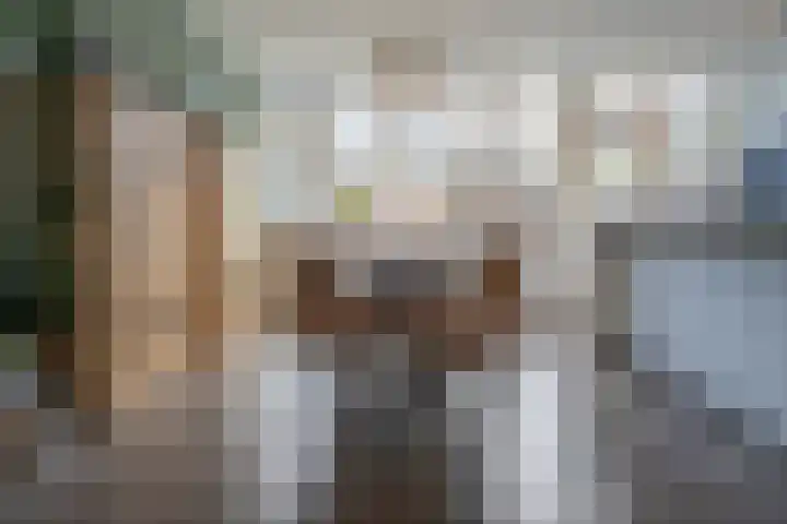 Kastanjelaan 11 Pijnacker thumbnail 11