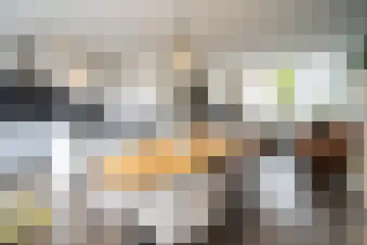 Kastanjelaan 11 Pijnacker thumbnail 12