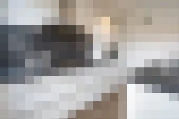Kastanjelaan 11 Pijnacker thumbnail 13