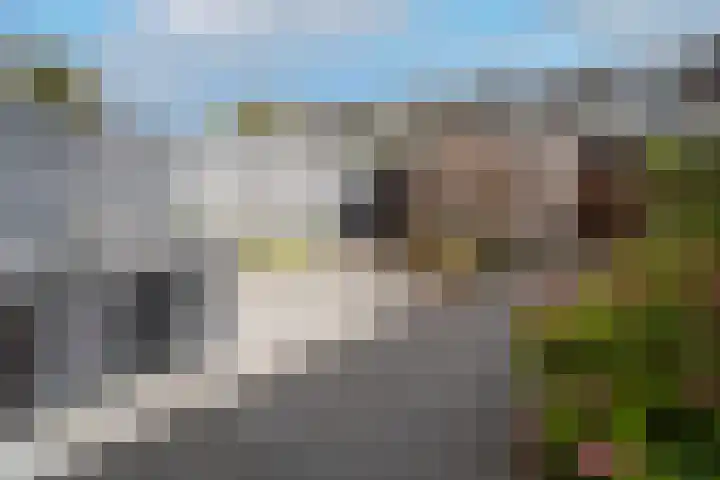 Kastanjelaan 11 Pijnacker thumbnail 17