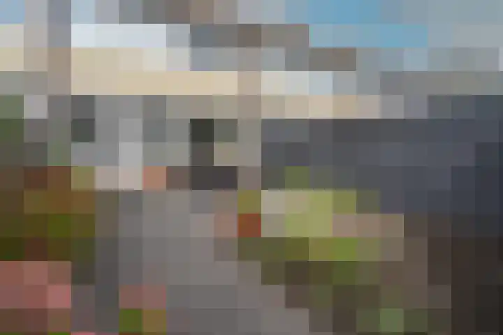 Kastanjelaan 11 Pijnacker thumbnail 18