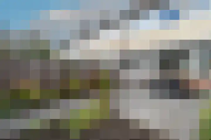 Kastanjelaan 11 Pijnacker thumbnail 19