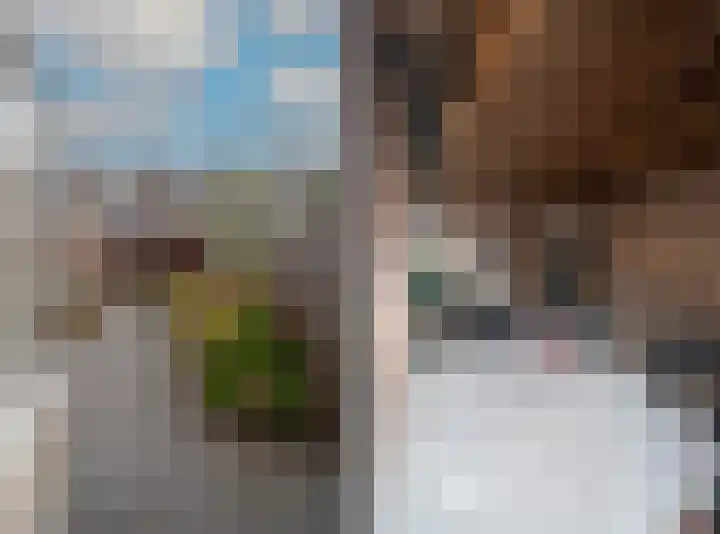 Kastanjelaan 11 Pijnacker thumbnail 20