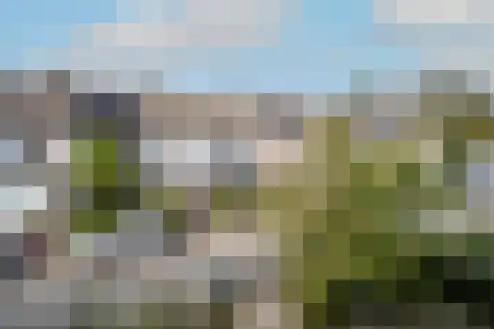 Kastanjelaan 11 Pijnacker thumbnail 29