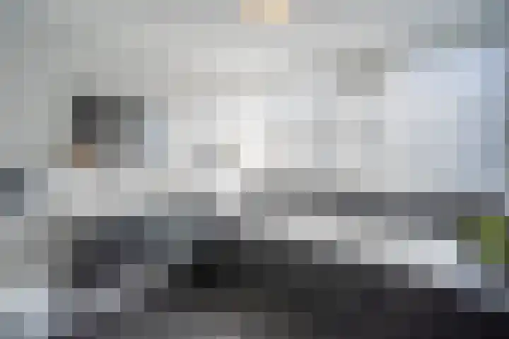 Kastanjelaan 11 Pijnacker thumbnail 30