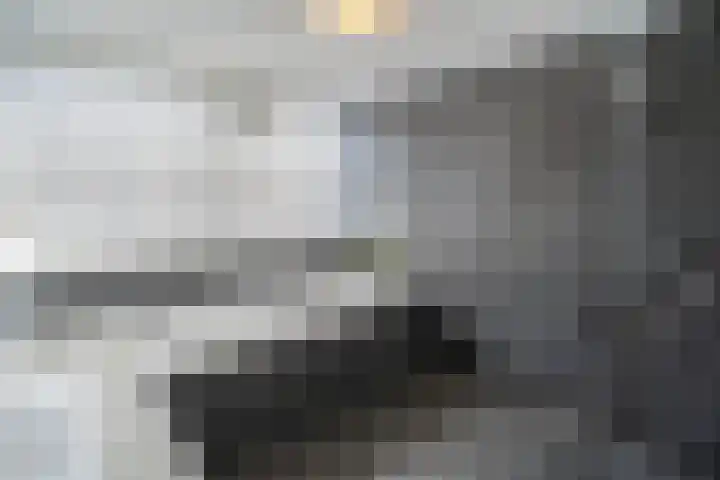 Kastanjelaan 11 Pijnacker thumbnail 31