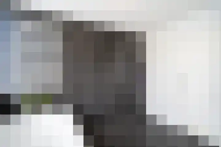 Kastanjelaan 11 Pijnacker thumbnail 33