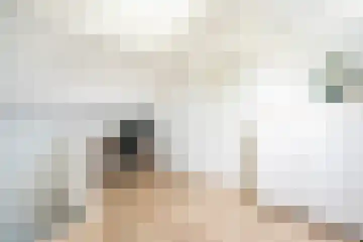 Kastanjelaan 11 Pijnacker thumbnail 47