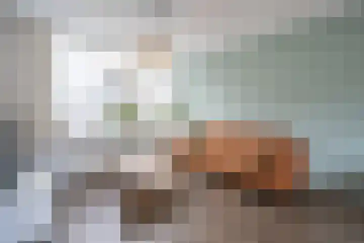 Kastanjelaan 11 Pijnacker thumbnail 5