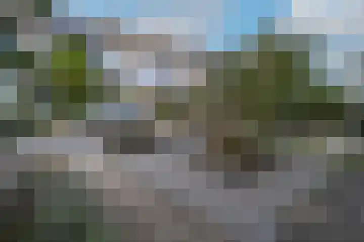 Kastanjelaan 11 Pijnacker thumbnail 52