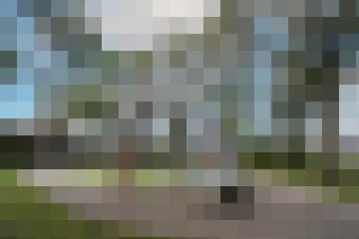 Kastanjelaan 11 Pijnacker thumbnail 56