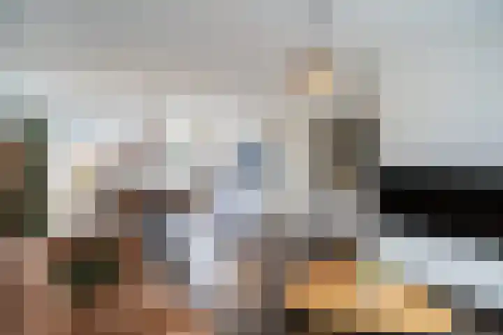 Kastanjelaan 11 Pijnacker thumbnail 8