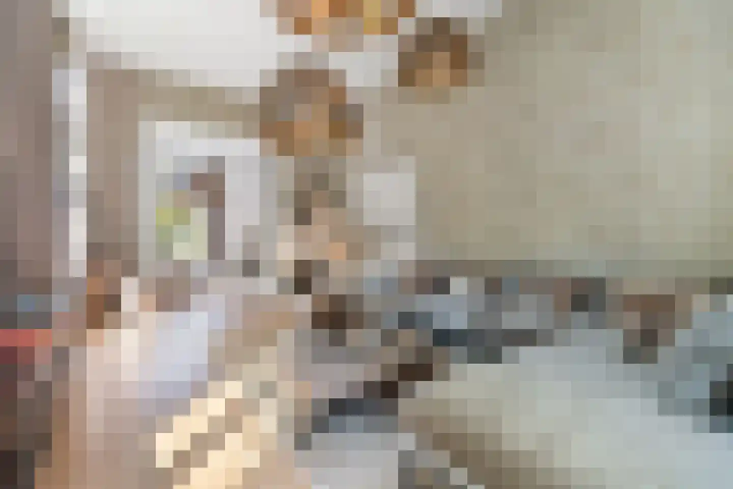 Kastanjelaan 11 Velp thumbnail 12