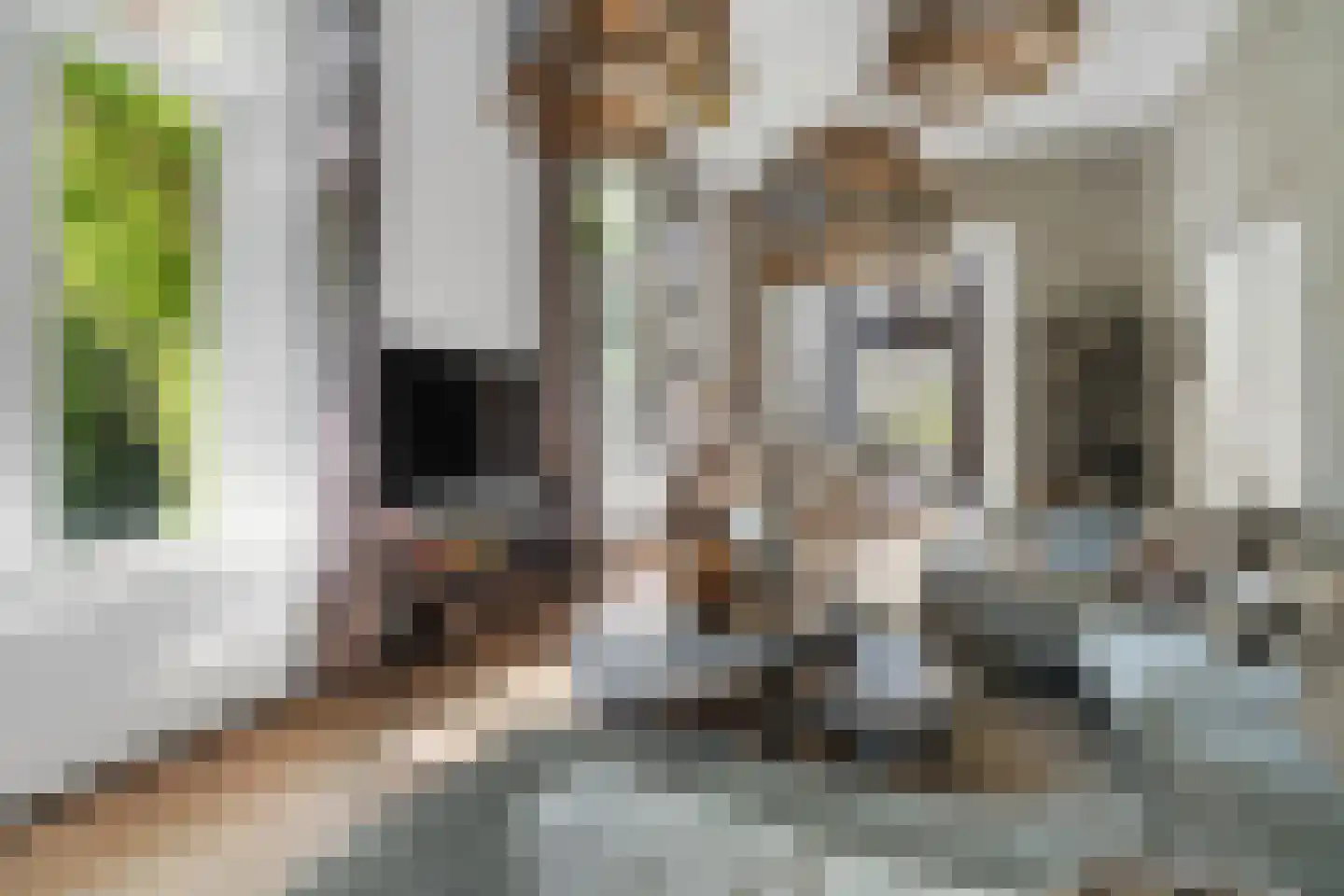 Kastanjelaan 11 Velp thumbnail 13