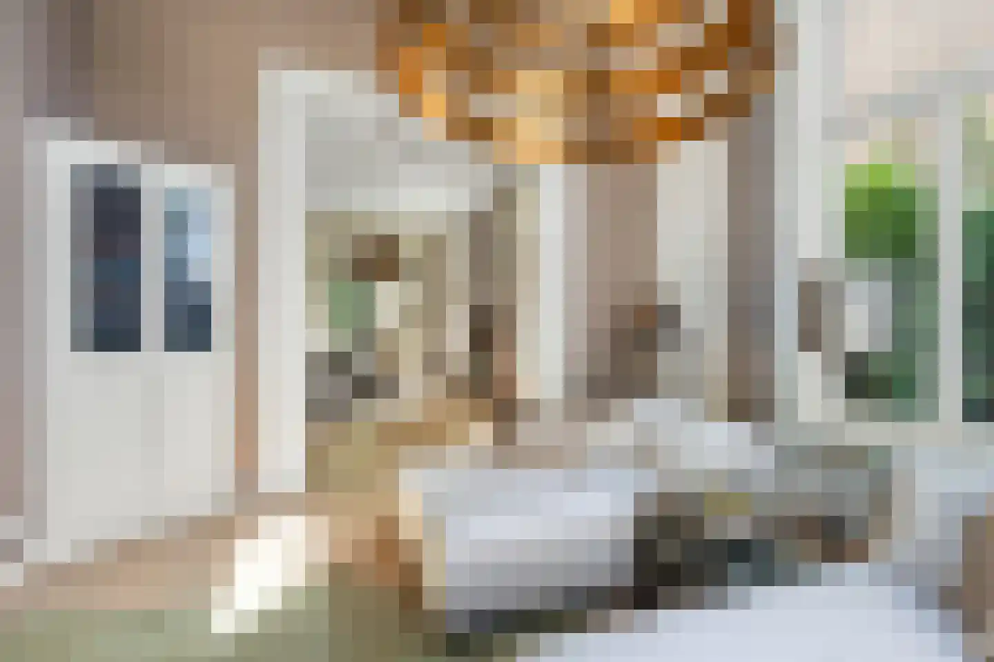 Kastanjelaan 11 Velp thumbnail 14