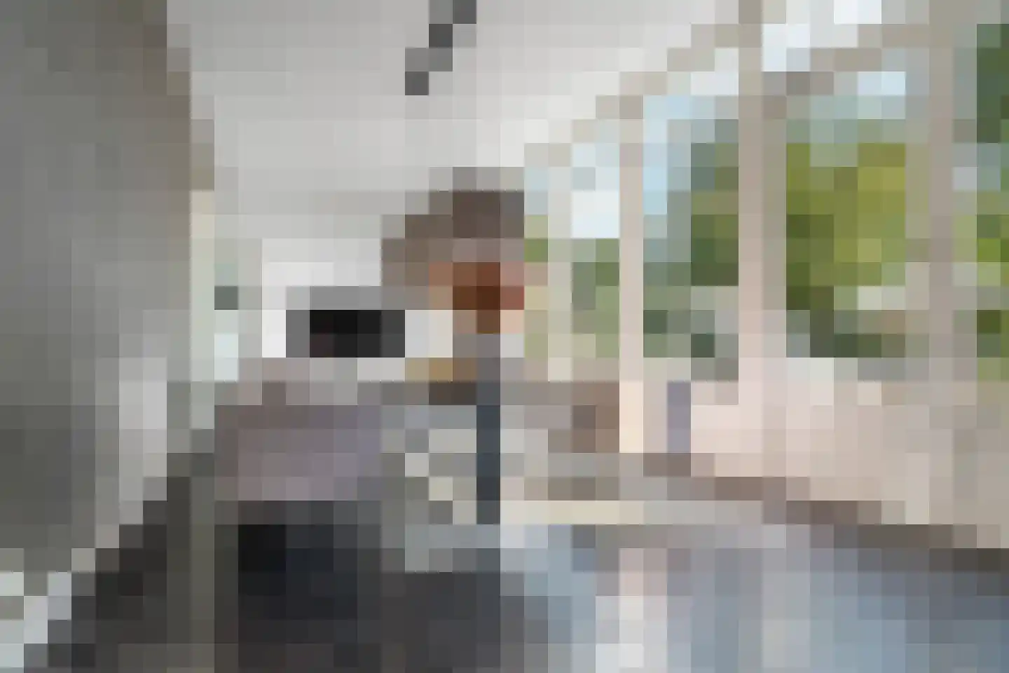 Kastanjelaan 11 Velp thumbnail 16
