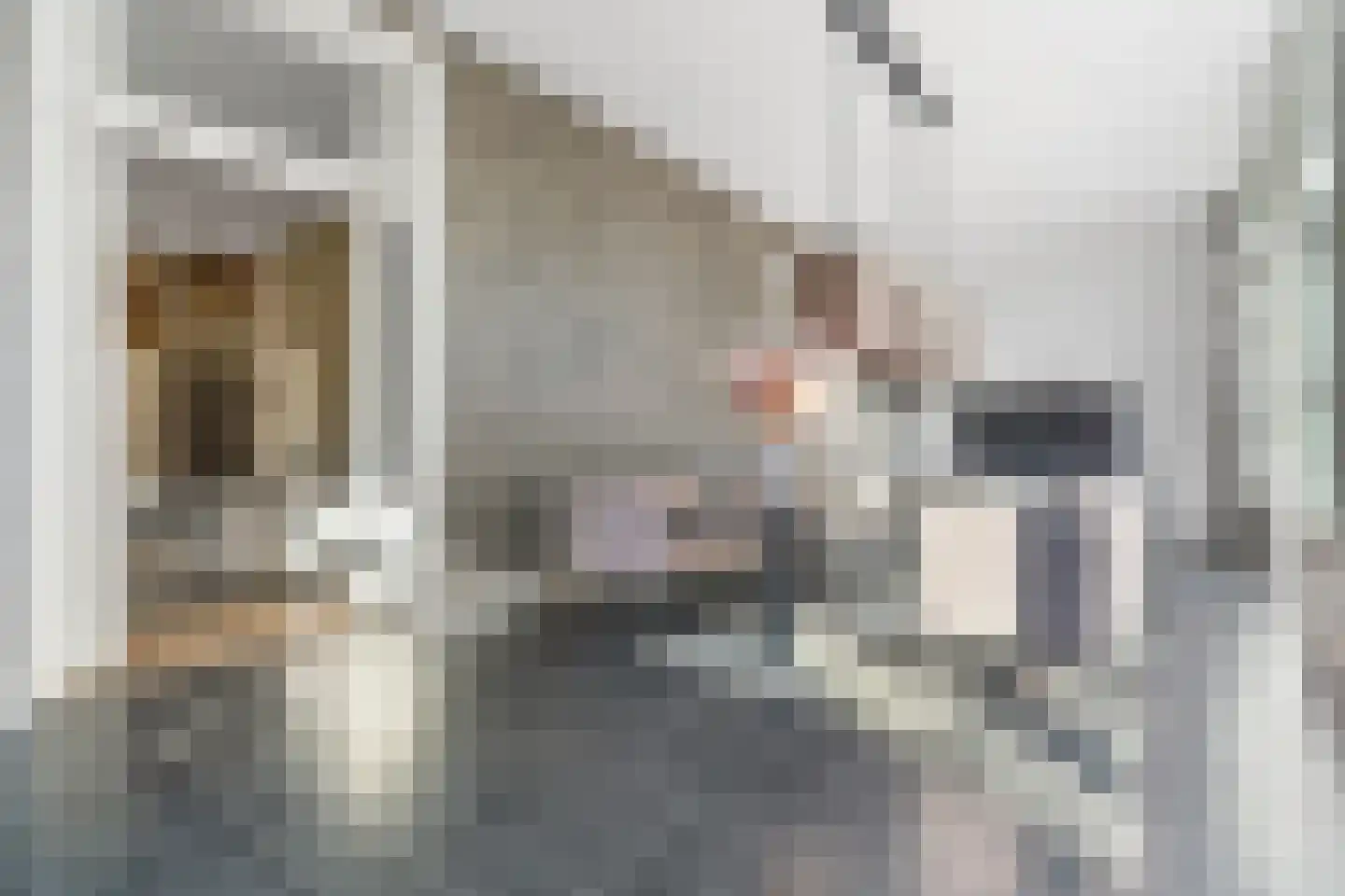 Kastanjelaan 11 Velp thumbnail 17