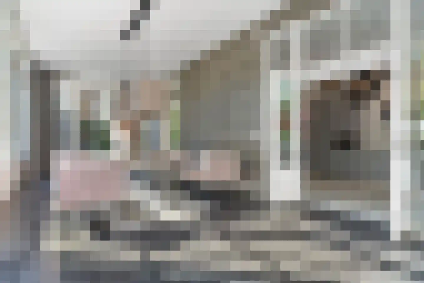 Kastanjelaan 11 Velp thumbnail 19