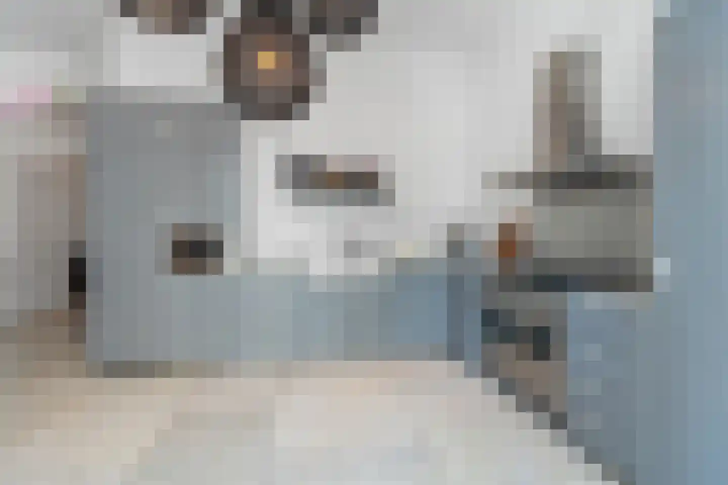 Kastanjelaan 11 Velp thumbnail 20