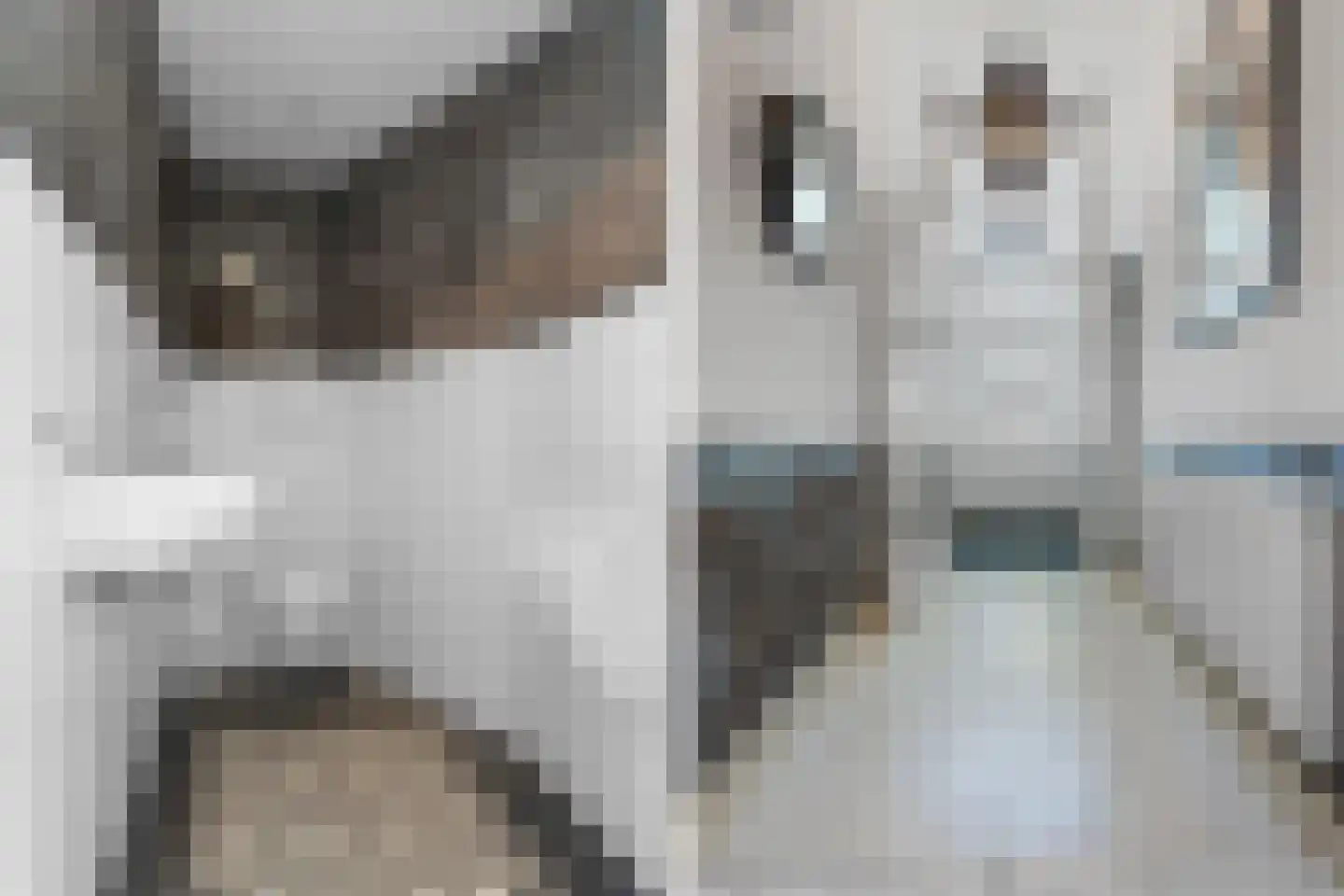 Kastanjelaan 11 Velp thumbnail 29