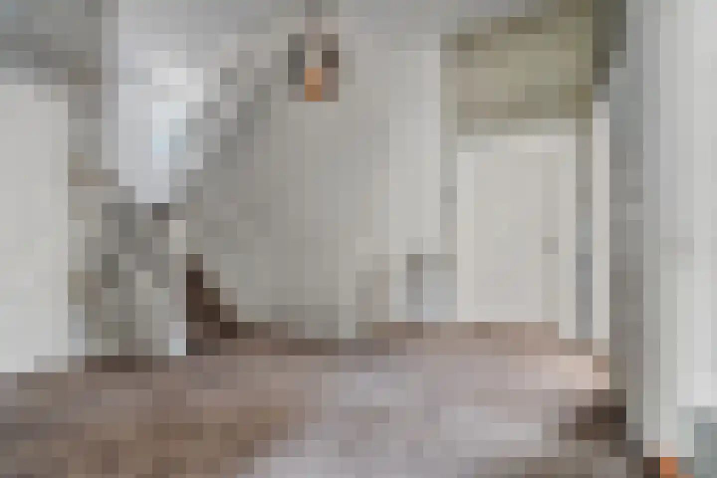 Kastanjelaan 11 Velp thumbnail 32