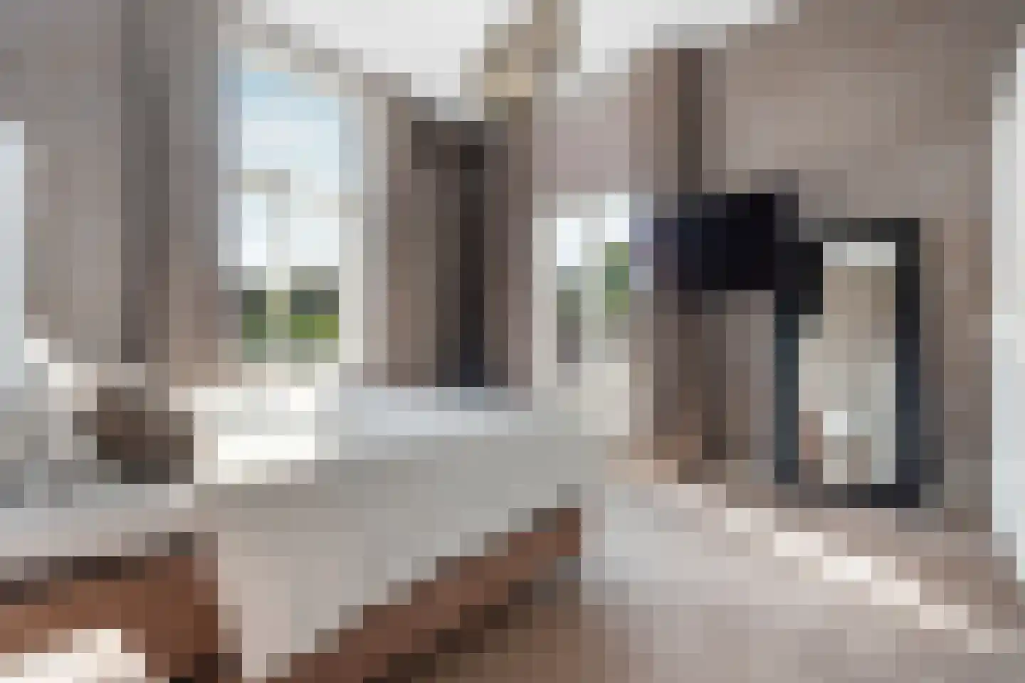 Kastanjelaan 11 Velp thumbnail 33