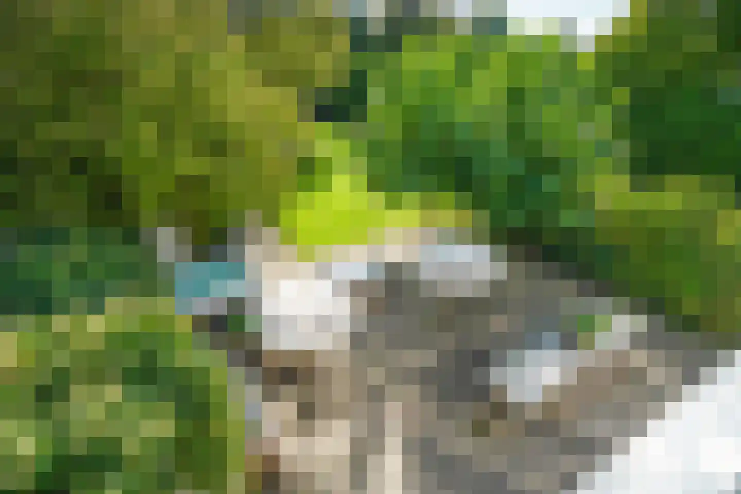 Kastanjelaan 11 Velp thumbnail 36