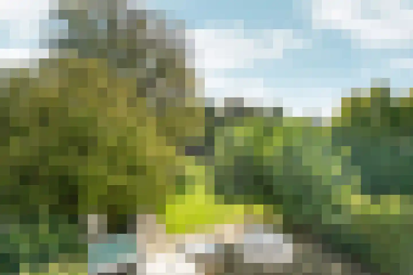 Kastanjelaan 11 Velp thumbnail 37