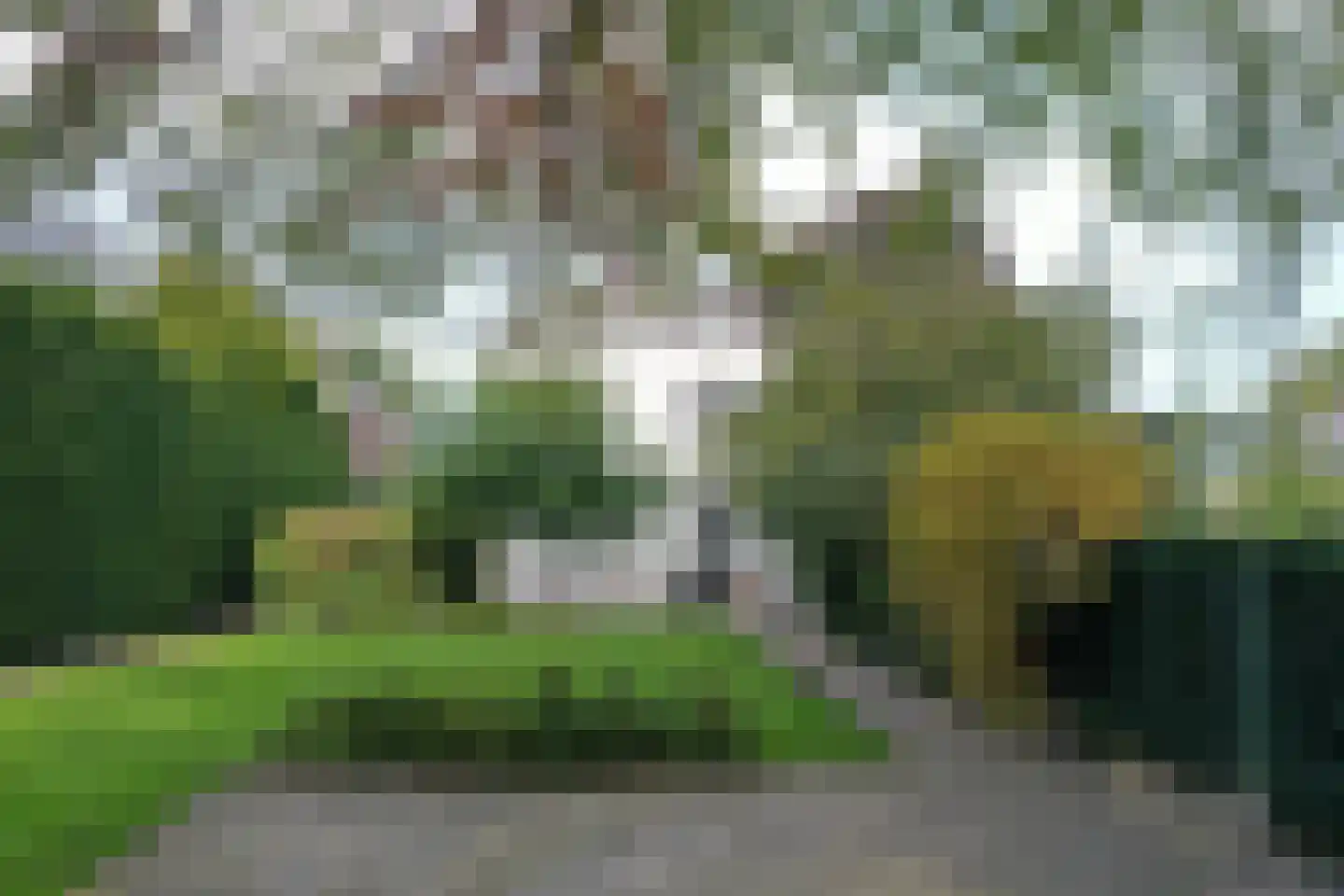 Kastanjelaan 11 Velp thumbnail 4