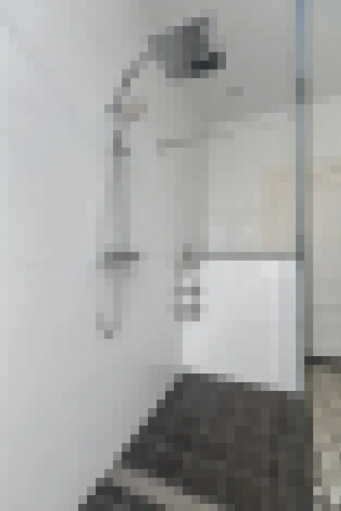 Kastanjelaan 11 Velp thumbnail 45
