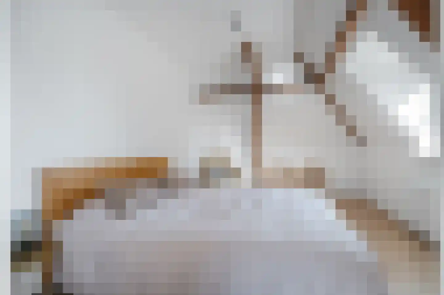 Kastanjelaan 11 Velp thumbnail 55