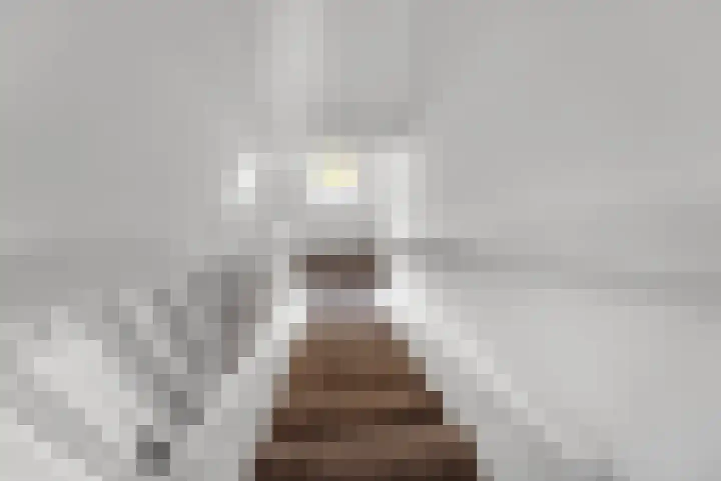 Kastanjelaan 11 Velp thumbnail 64
