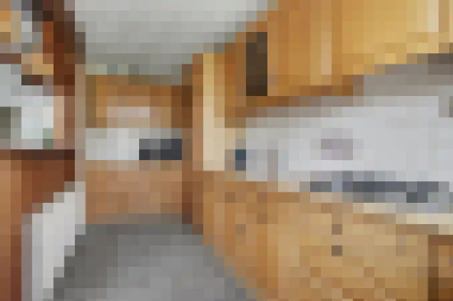 Kastanjelaan 111 Oosterhout thumbnail 15